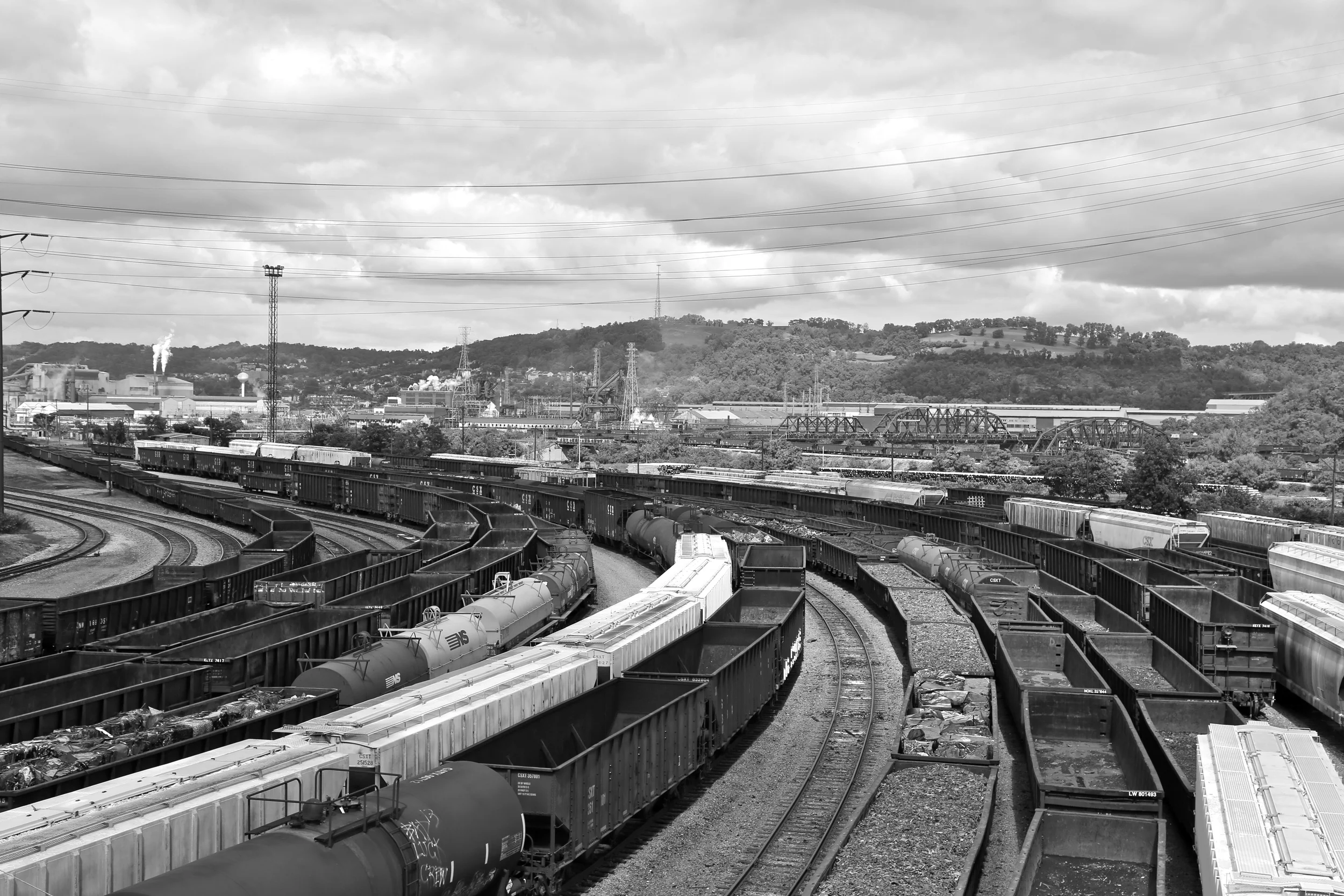 brad fetchin || train curve #1