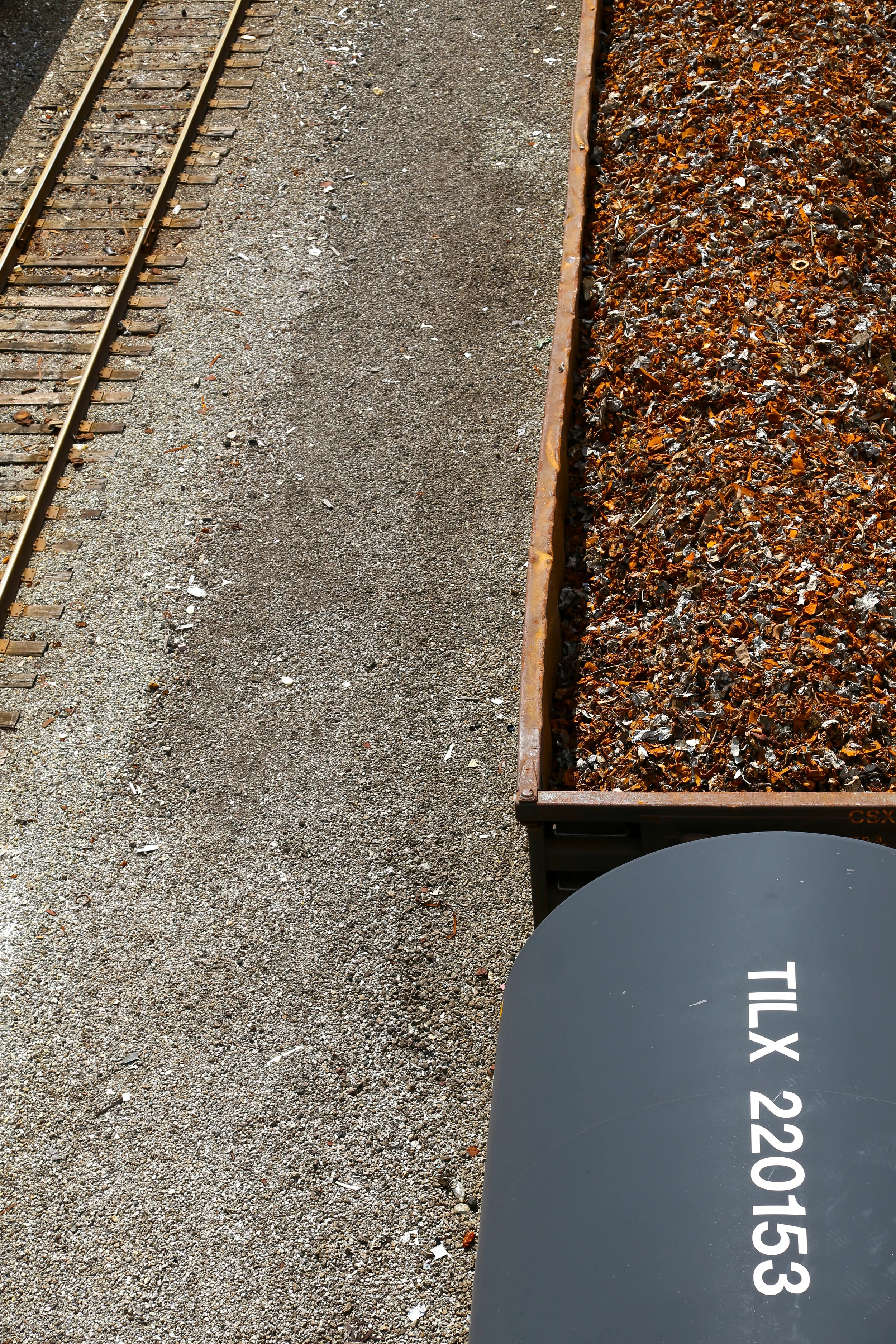 brad fetchin || train cargo rust