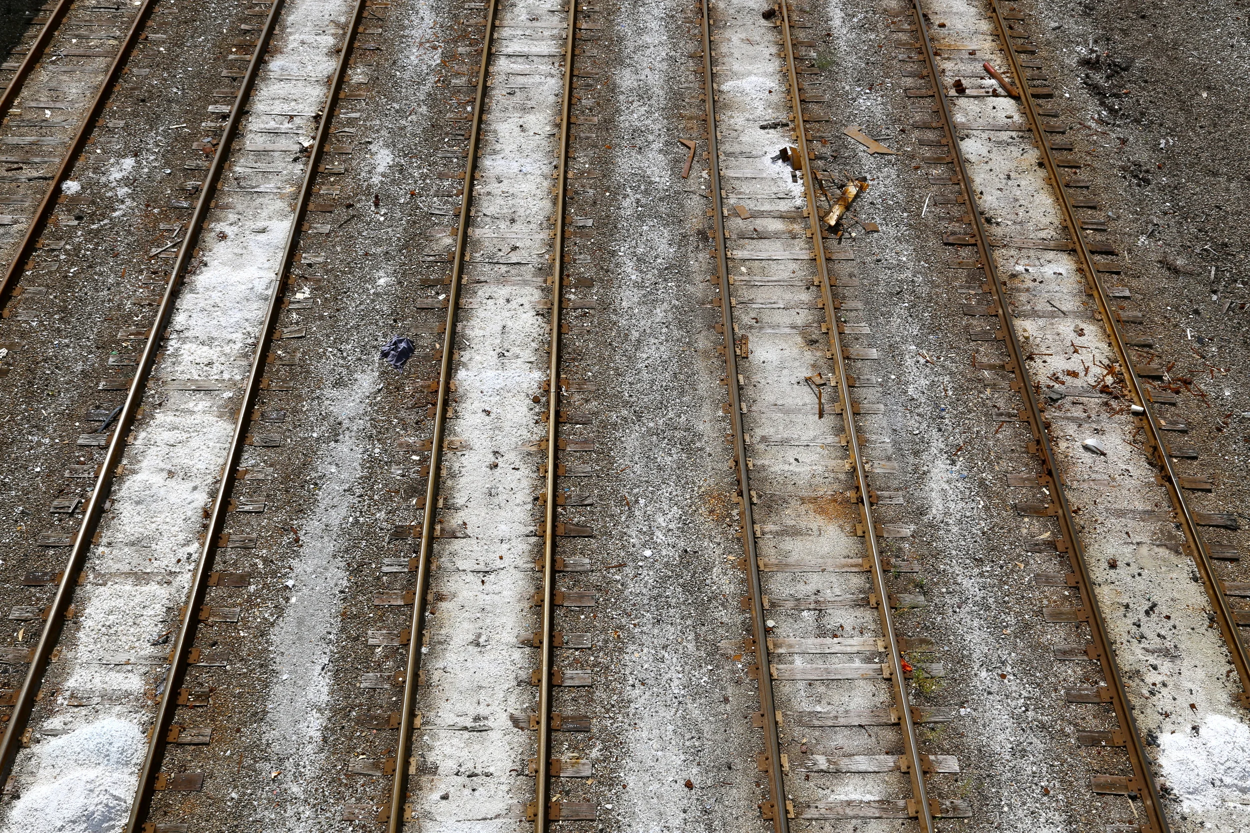 brad fetchin || the tracks