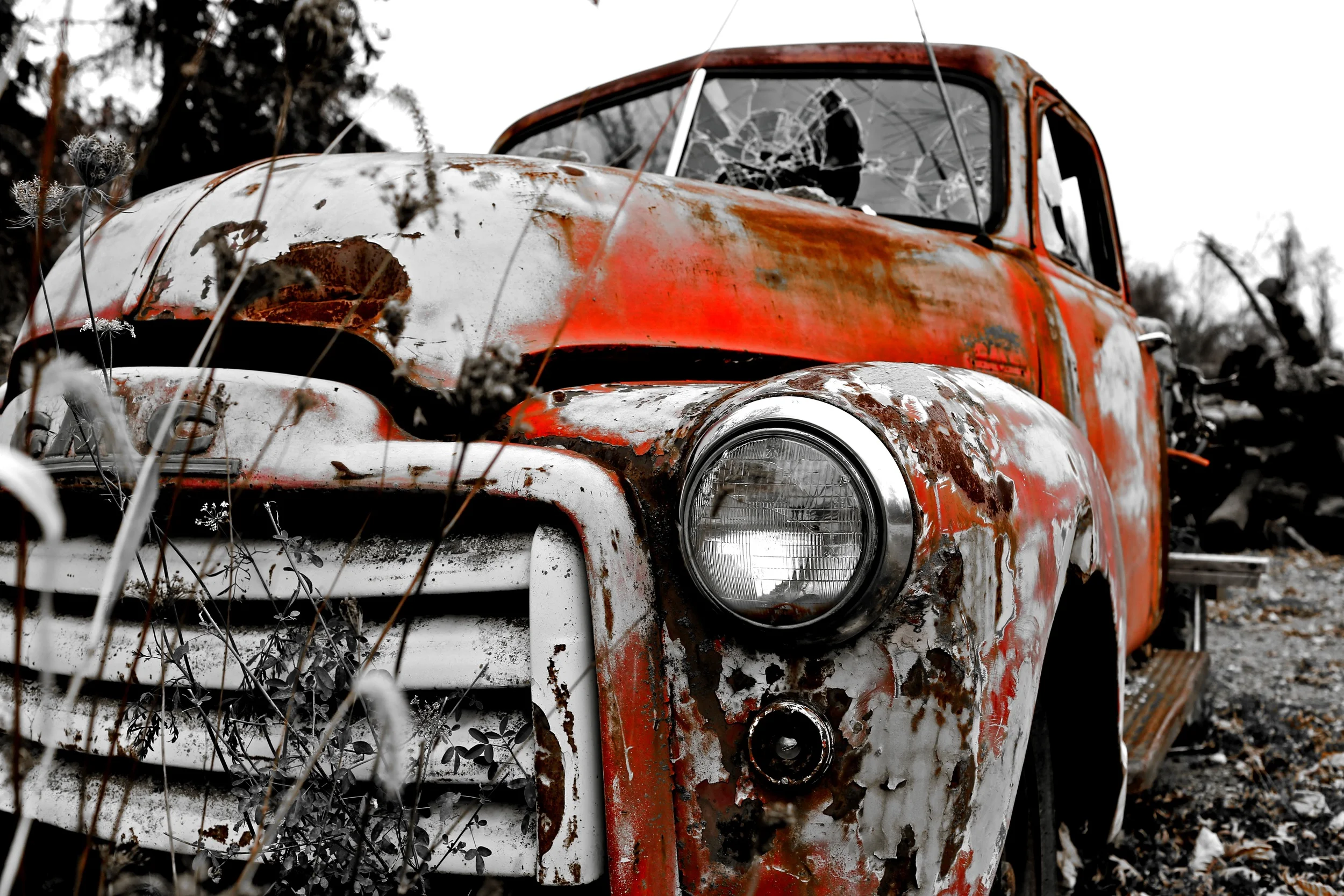 brad fetchin || "ol' red"