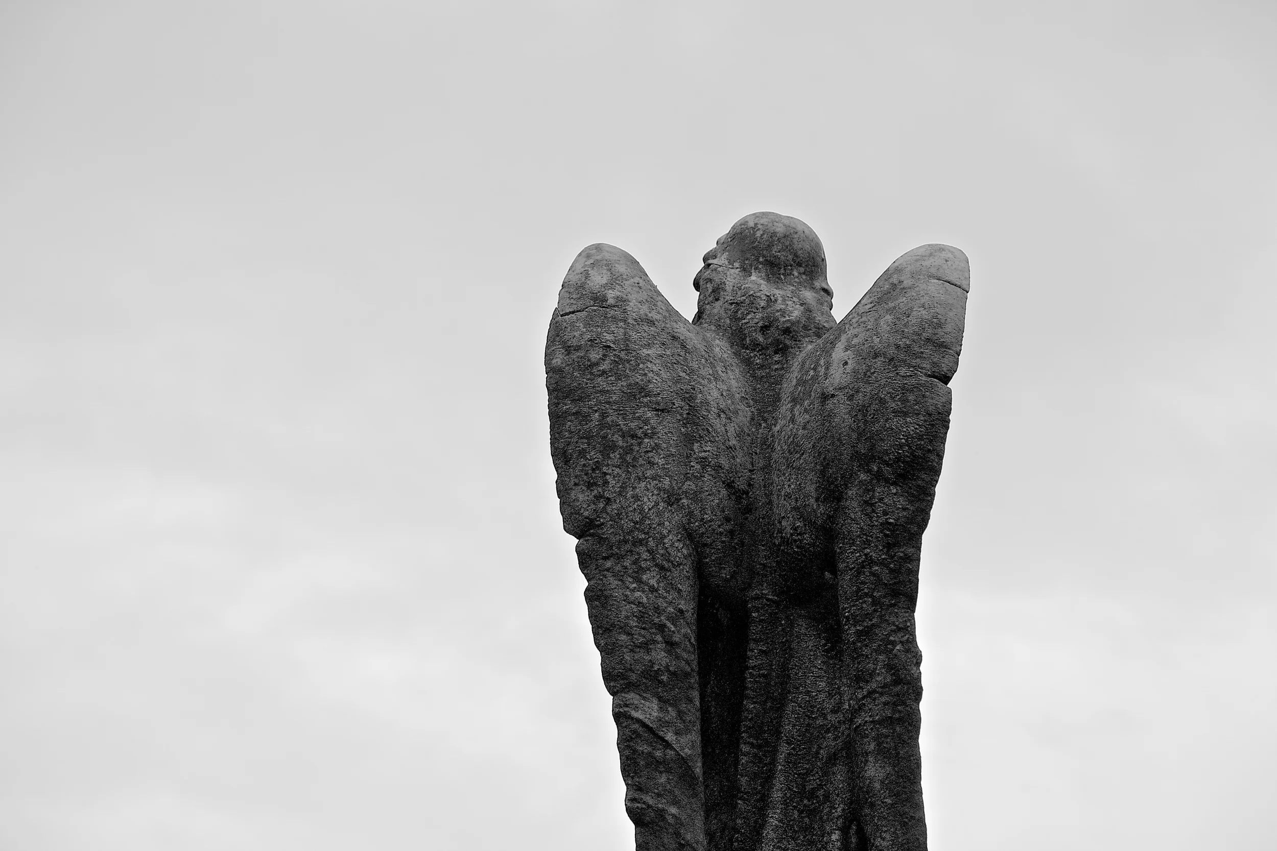 IMG_0486.jpg