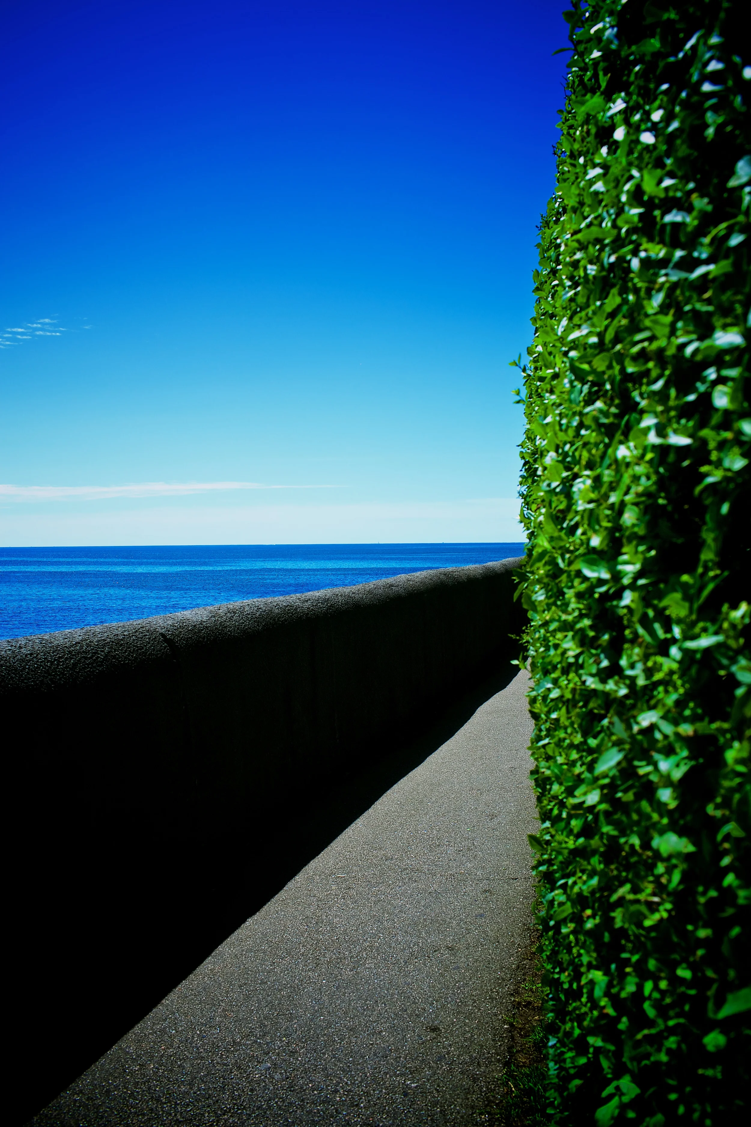 bradfetchin_2118_cliffwalk.jpg