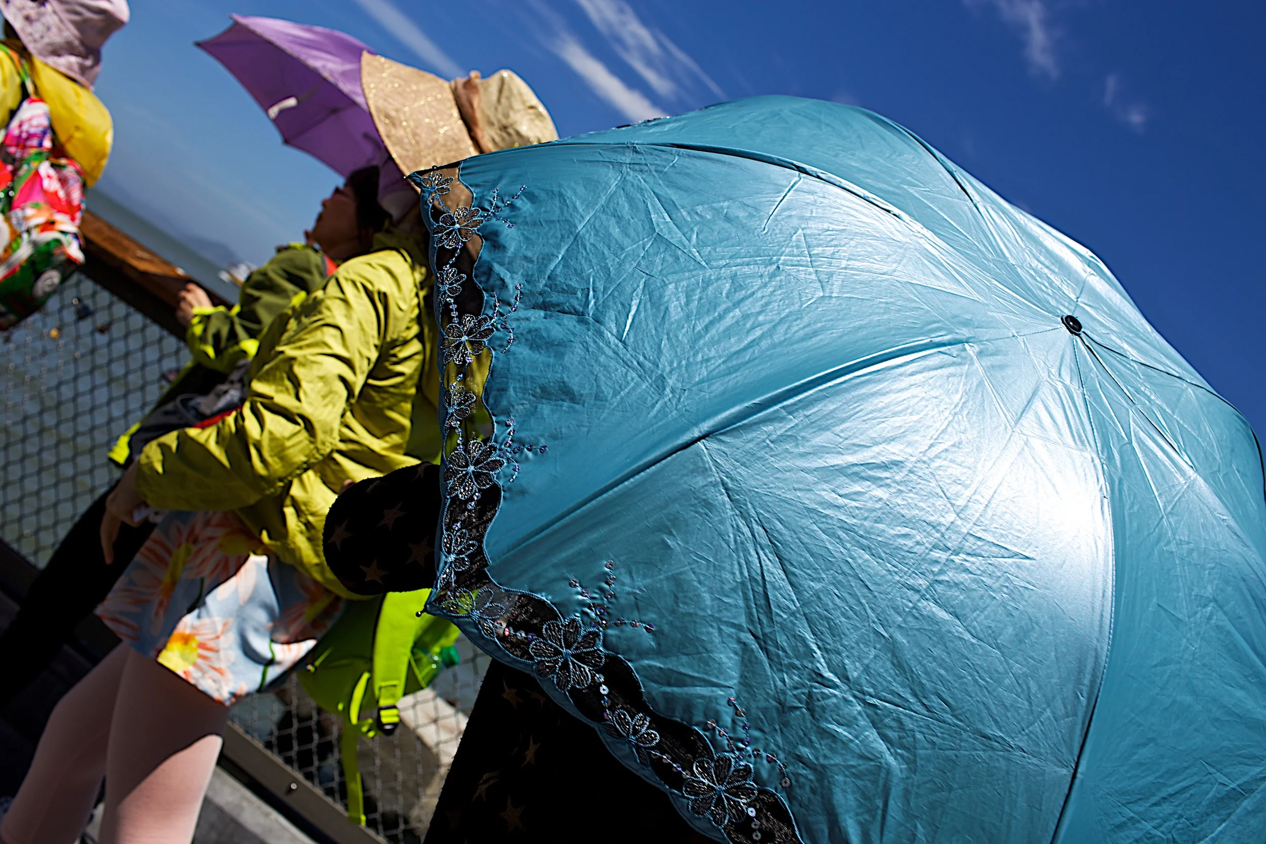 brad fetchin || san francisco