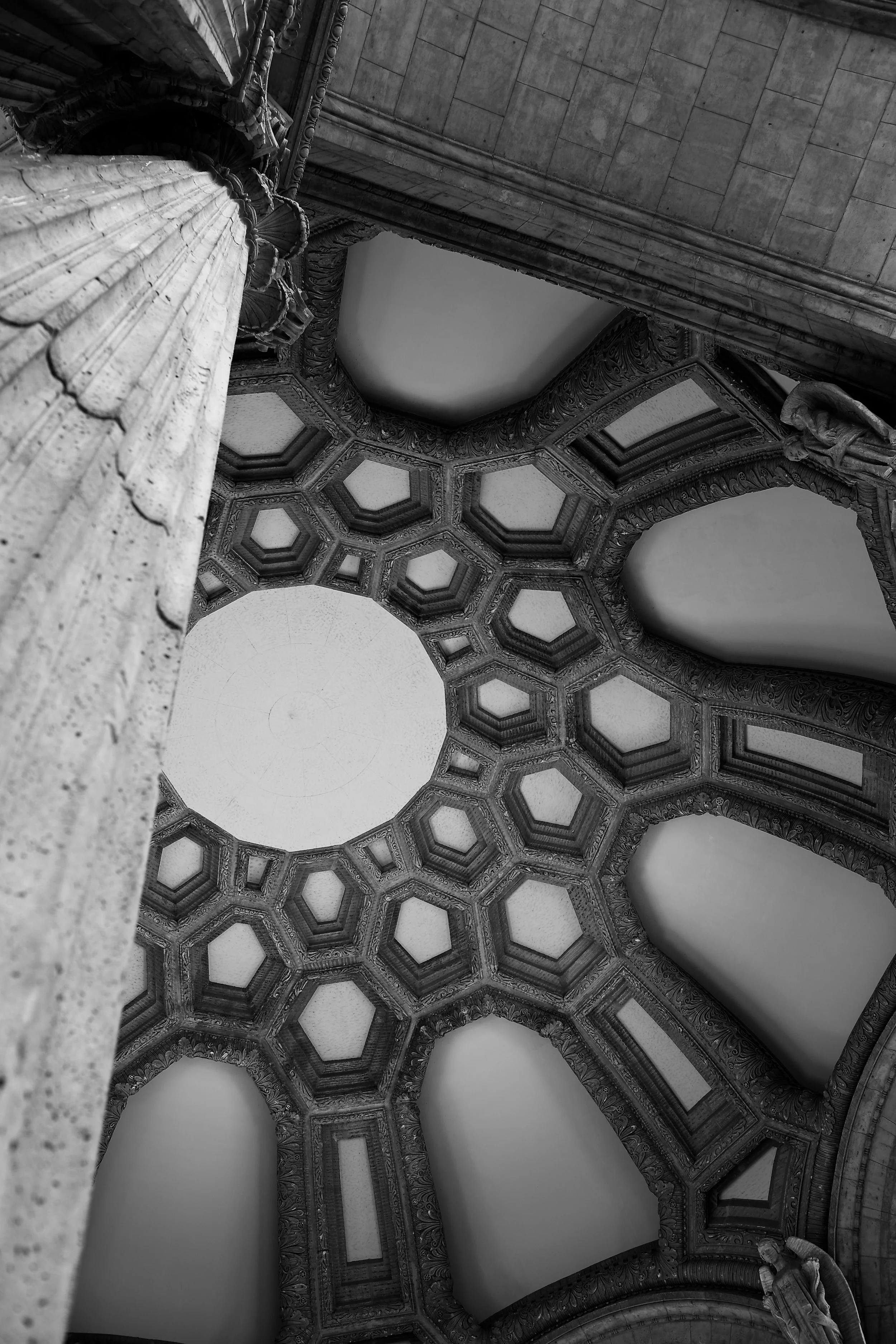 brad fetchin || san francisco