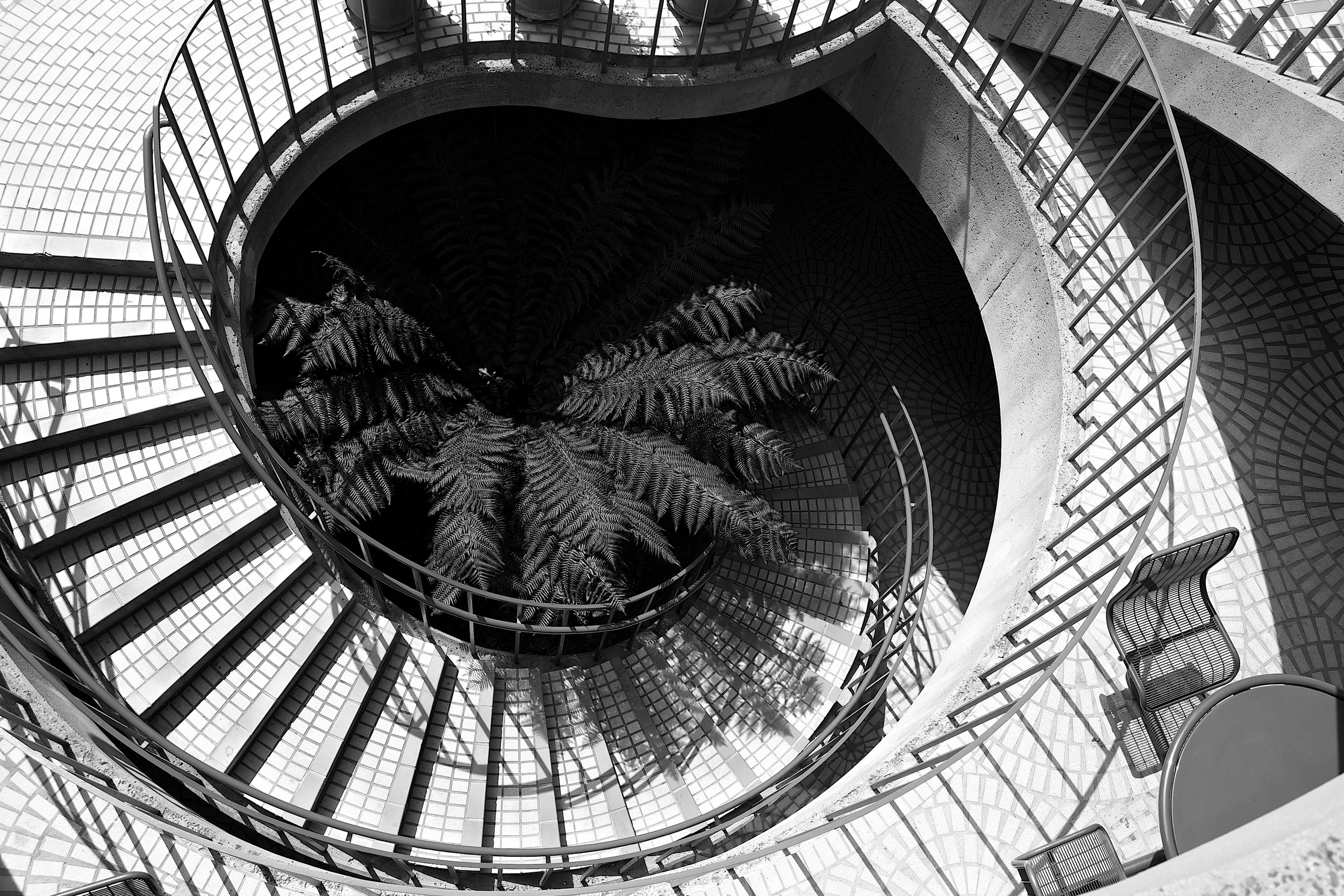 brad fetchin || san francisco