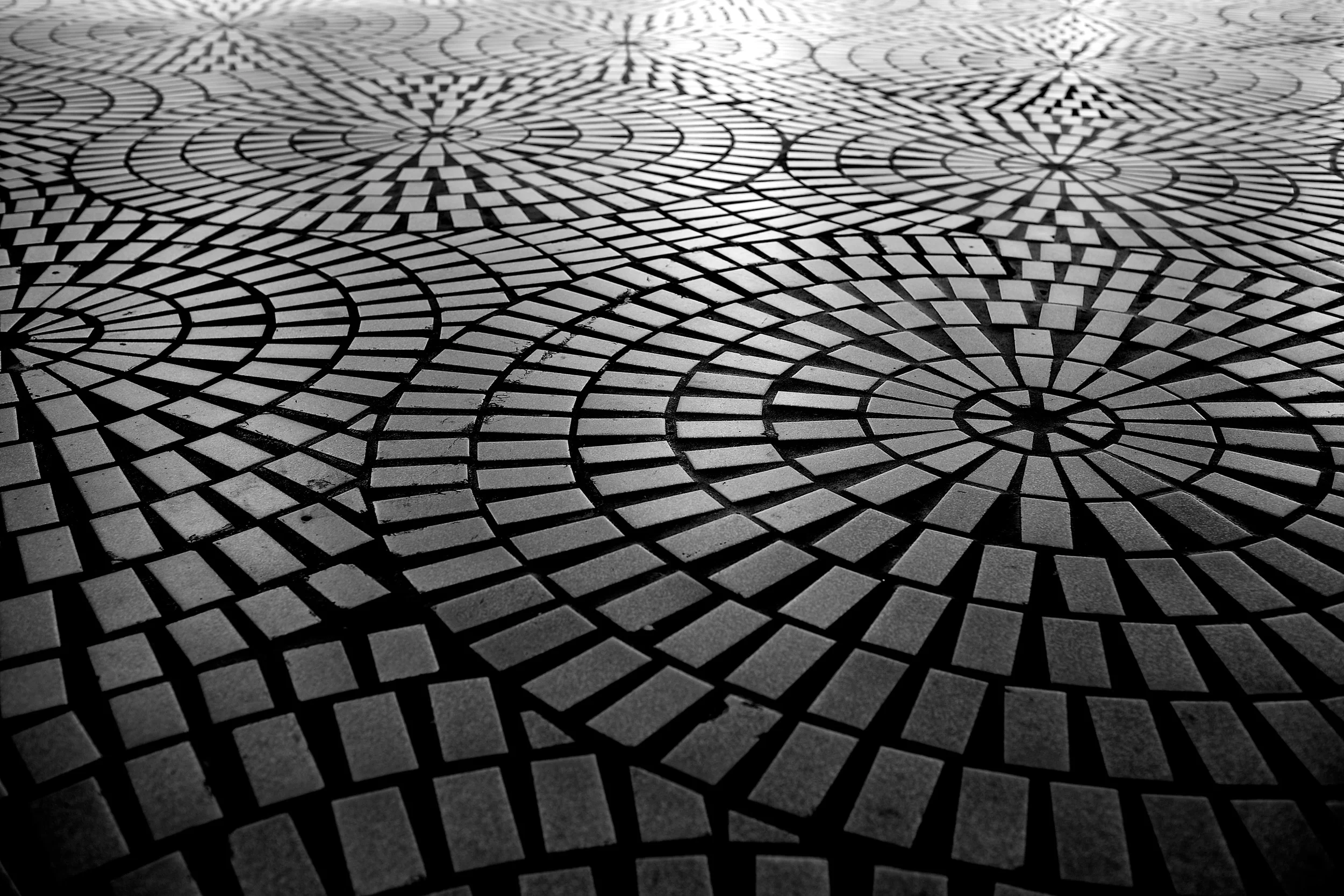 brad fetchin || san francisco