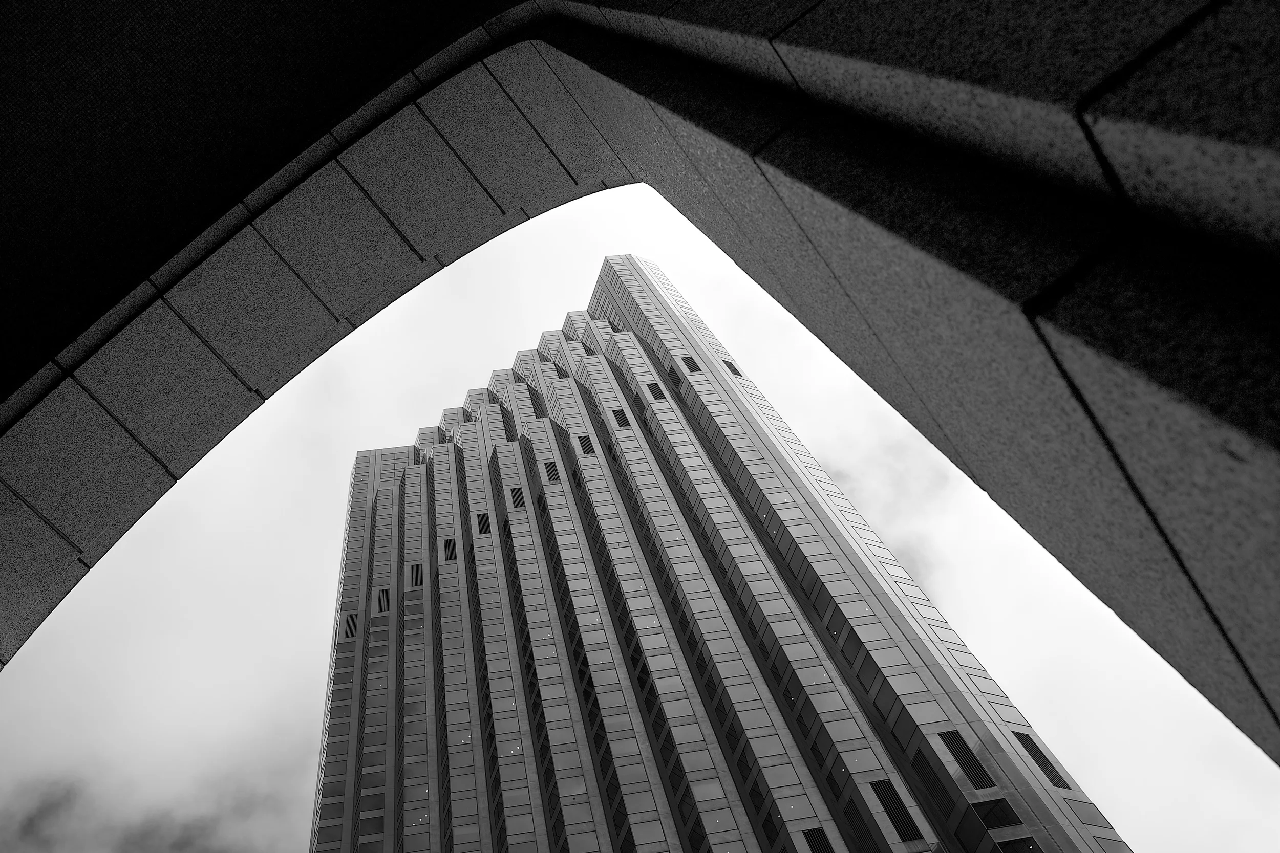 brad fetchin || san francisco