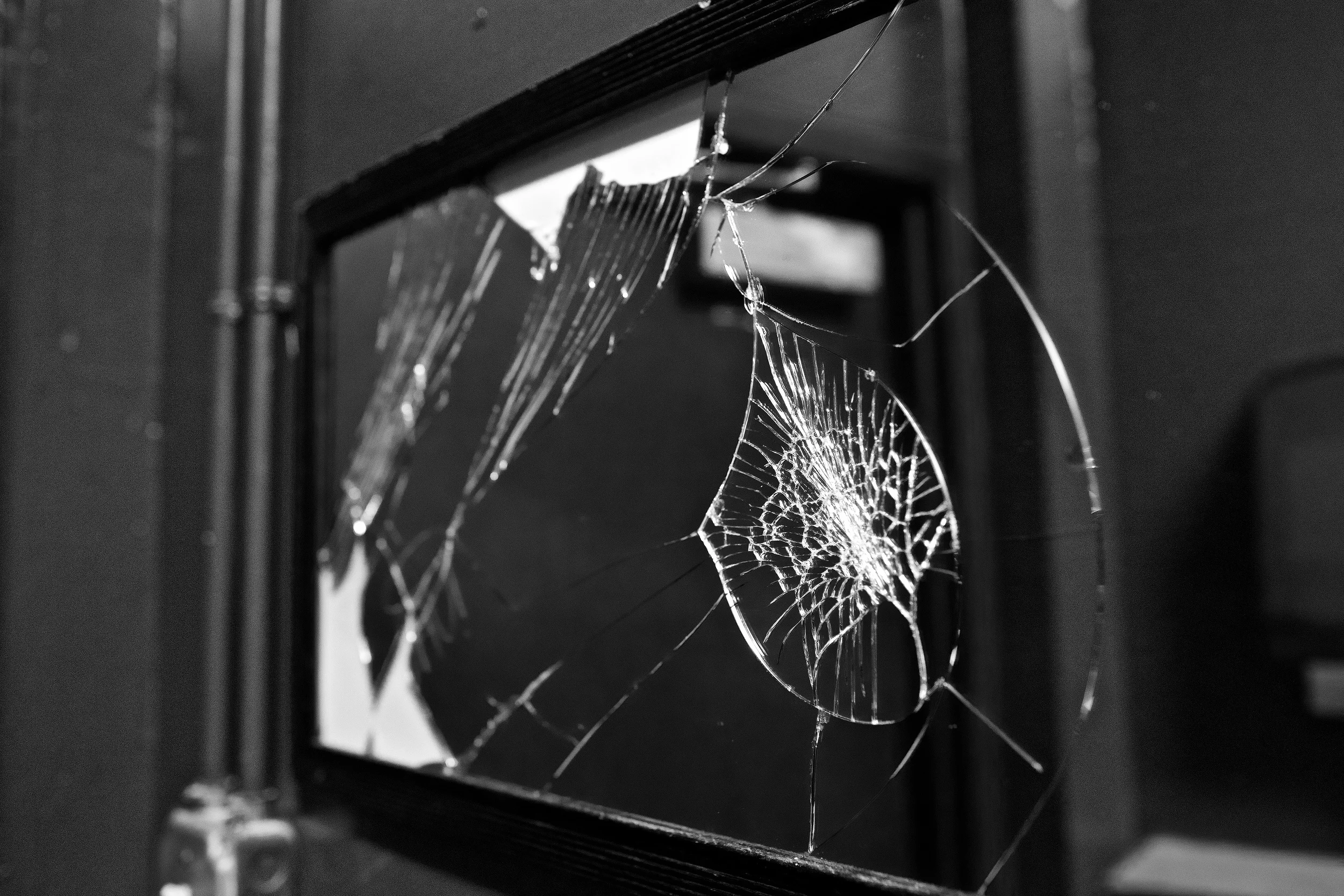 IMG_2782_mirror.jpg