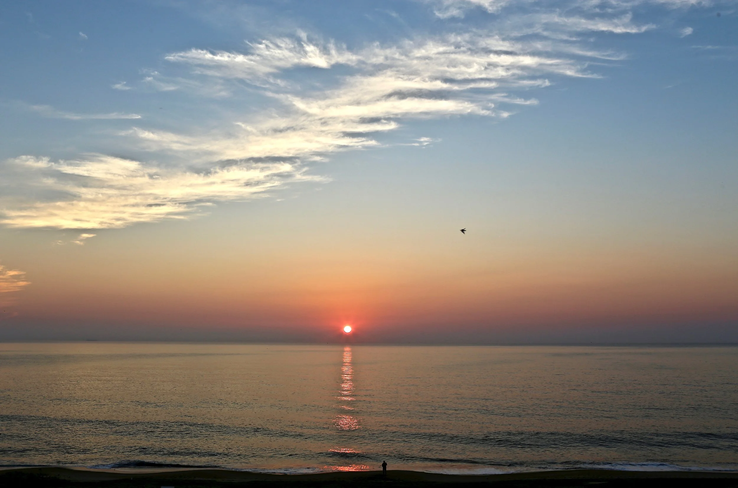 IMG_7656.jpg