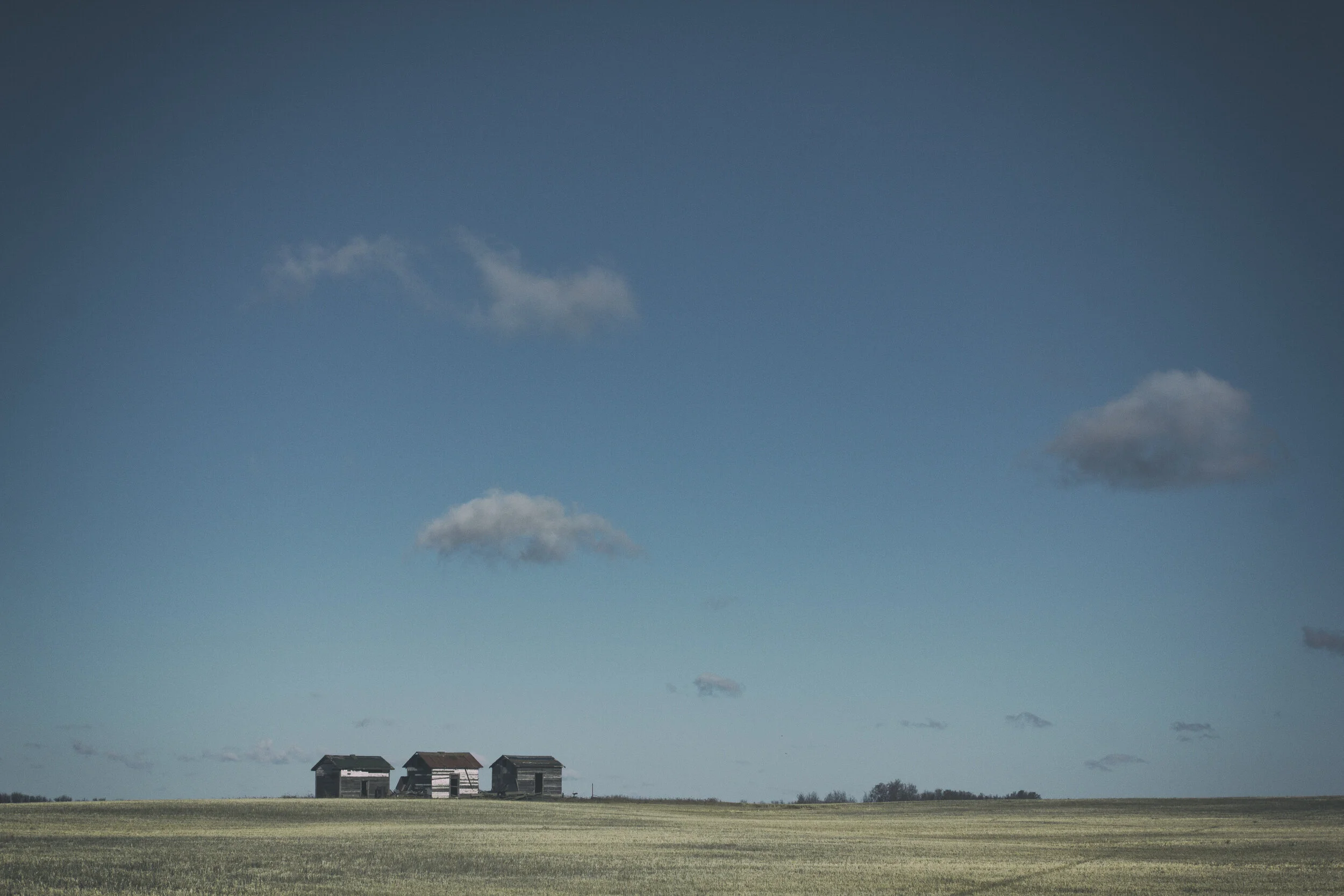 website photos -36.JPG