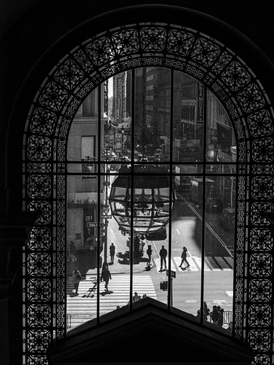P2010870 Large.jpeg