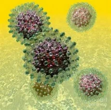 Virus.jpg