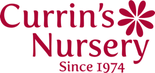 Currin's Nursery, Inc.