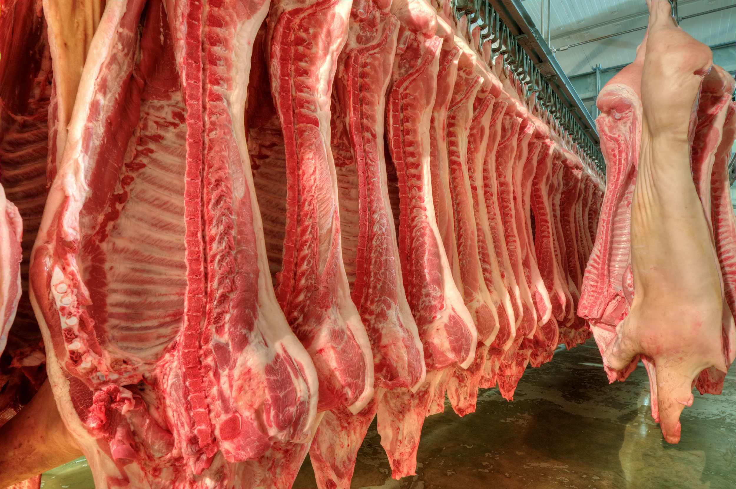 Fresh Meat In A Cold Cut Factory