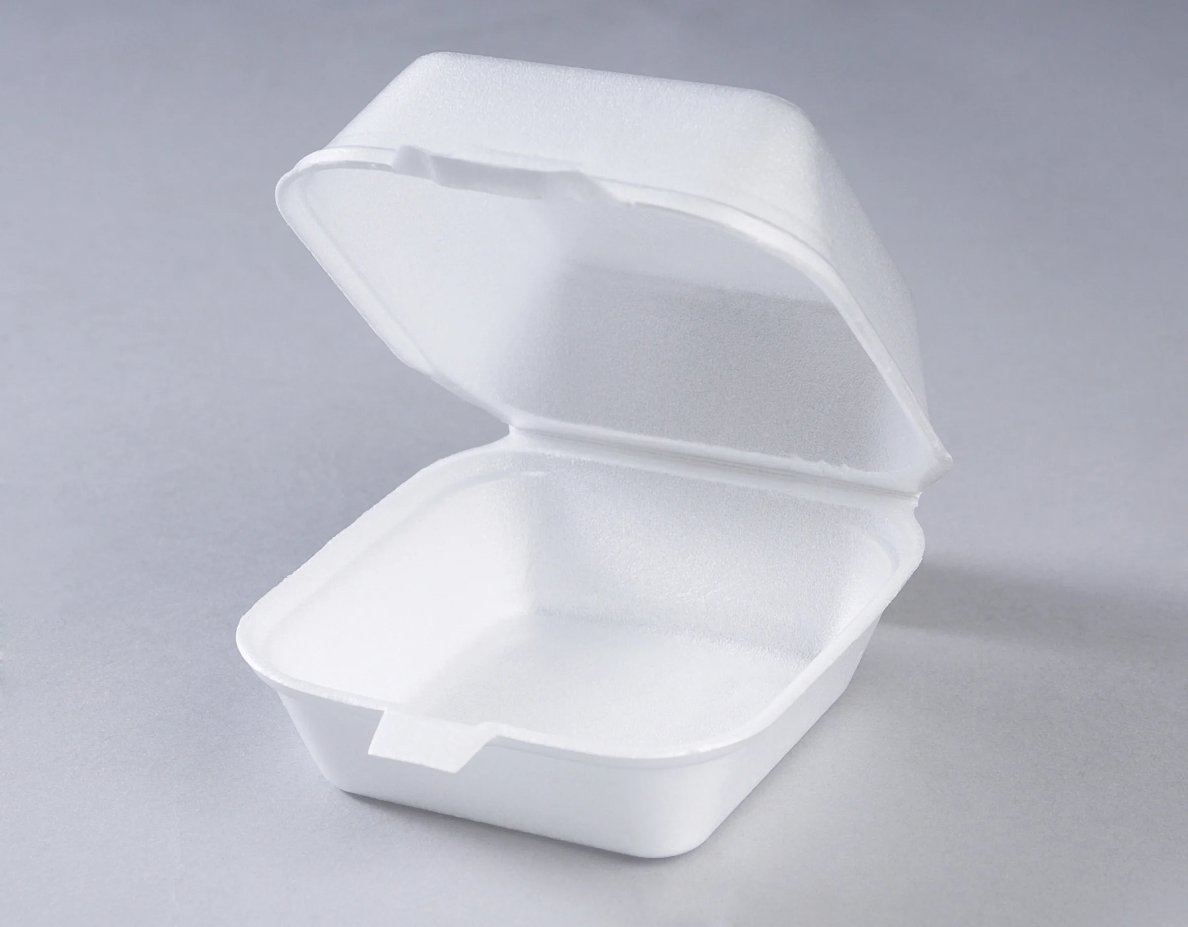 Styrofoam meal box.