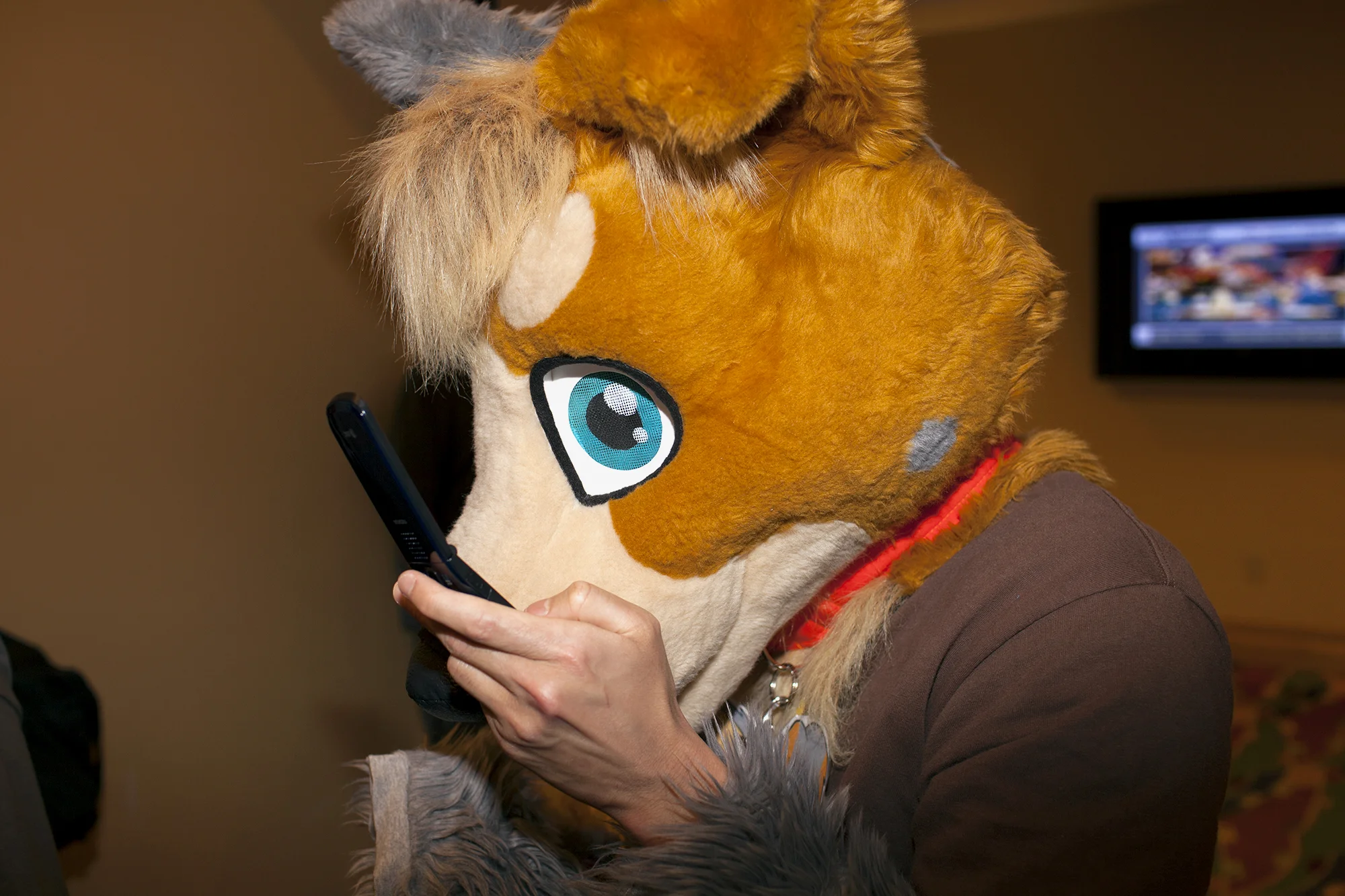 IMG_8097 copy.jpg