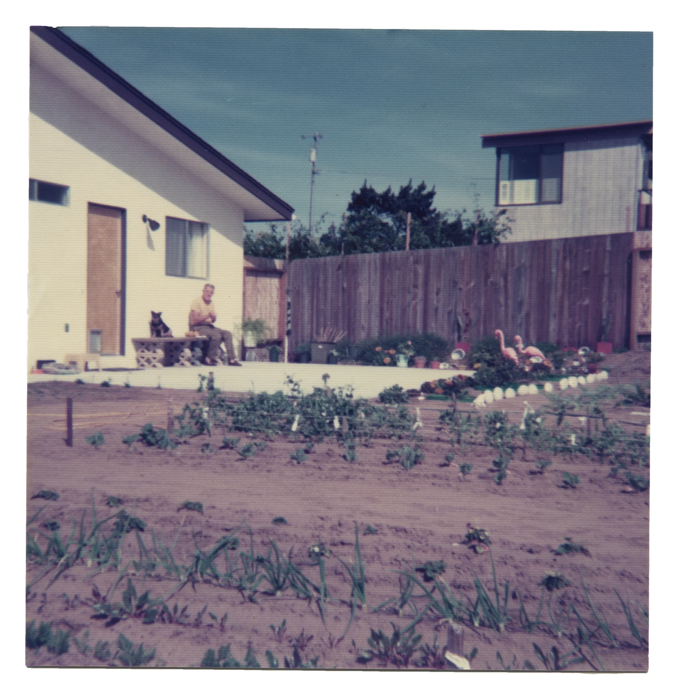Scan 6 2gardenflamingos.jpg