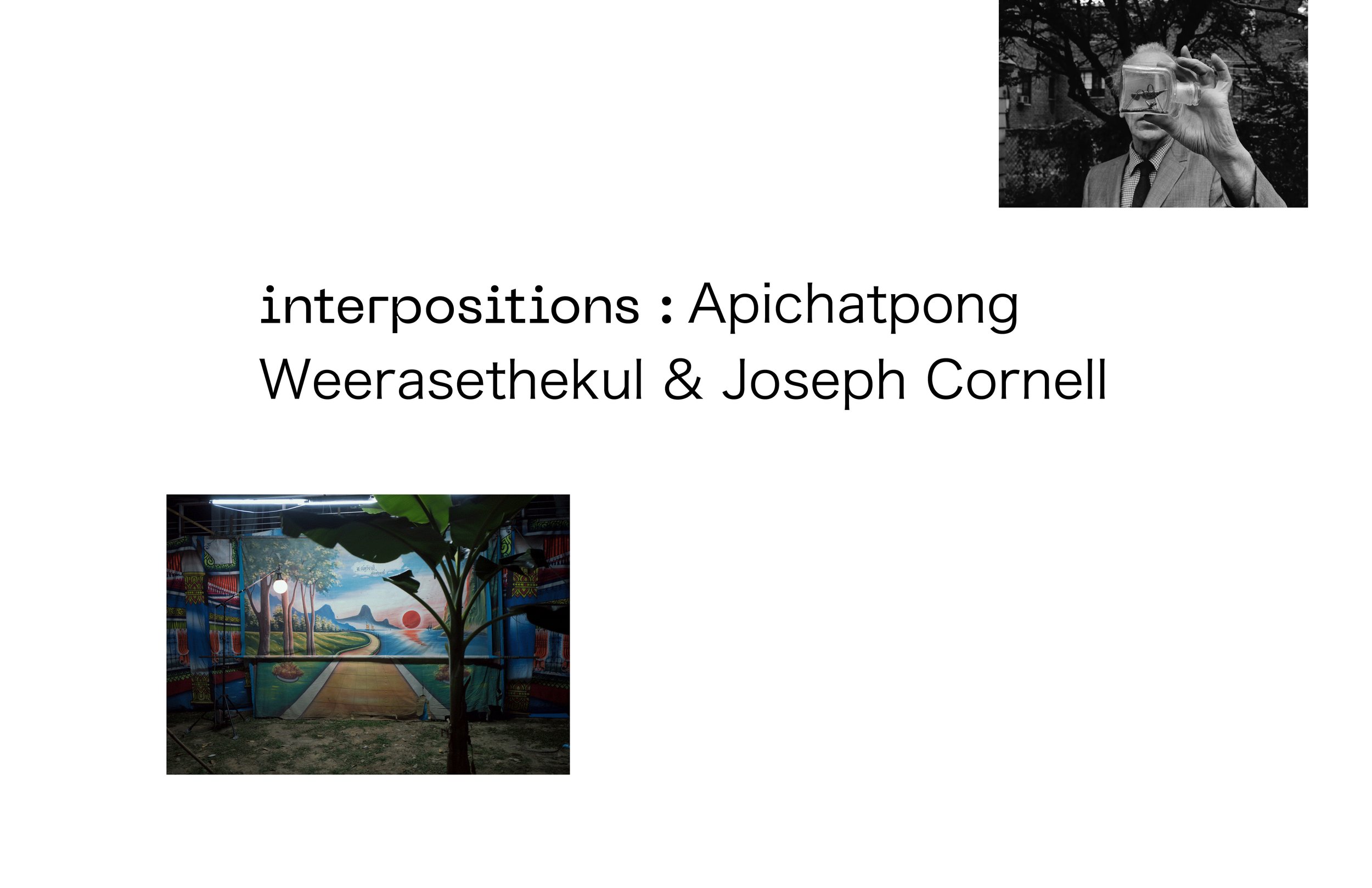 Interpositions at the Field Museum7.jpg