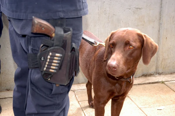 Dogman.jpg