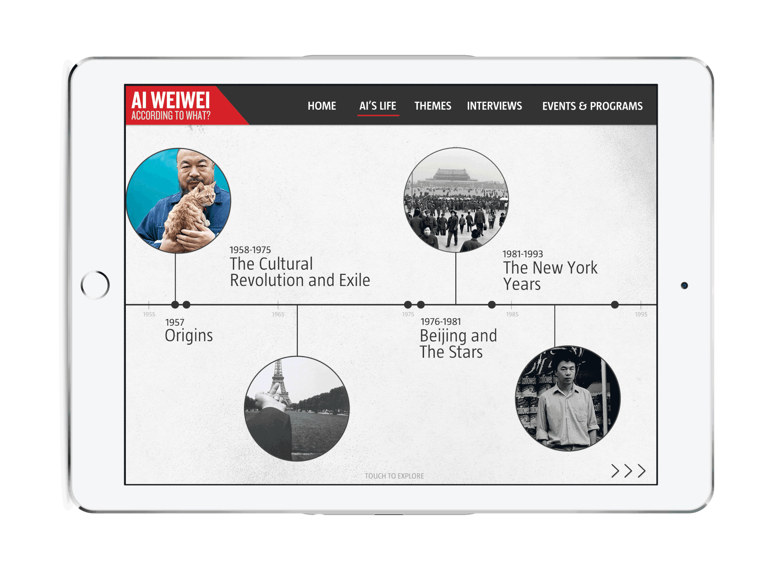 Timeline Section