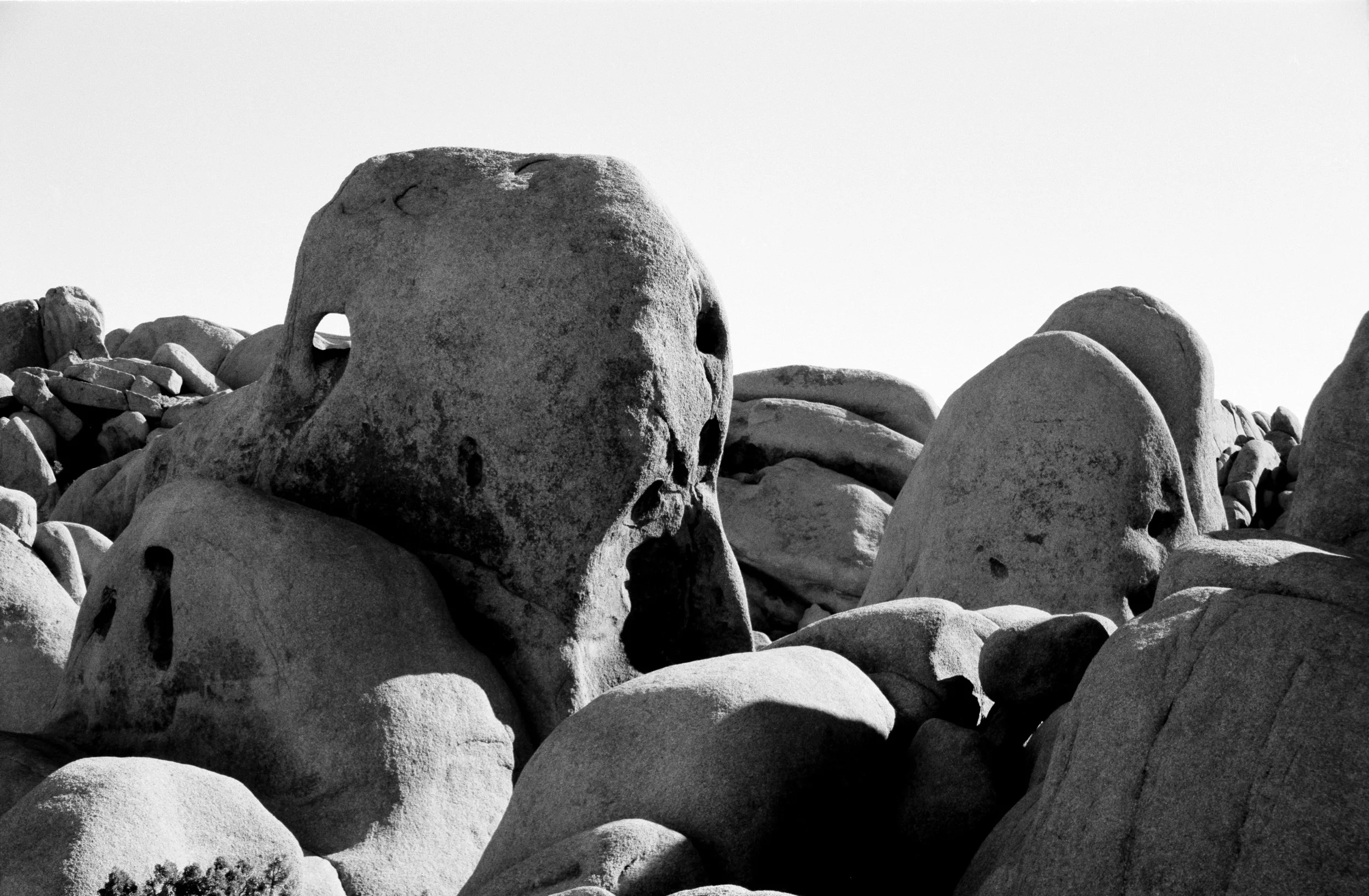 79 copy copy copy.jpg