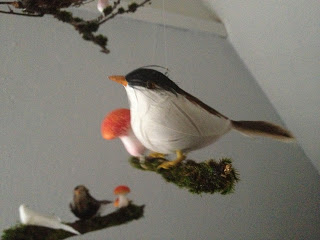IMG_0985.jpg