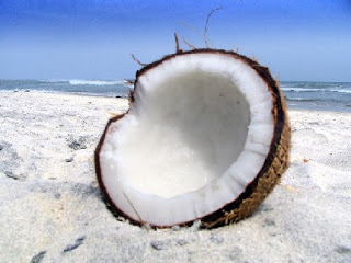 coconut+on+a+beach.jpg