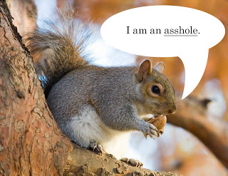 Is it just me or does "an asshole" sound wrong? "A asshole" sounds even more not right. Maybe because "asshole" is usually used in the plural, as it is hard to limit yourself to just one asshole? This particular squirrel, however, deserves singling out due to the ridiculous way he is holding the nut. What are we, at a tea party? Use your pinky finger asshole.
