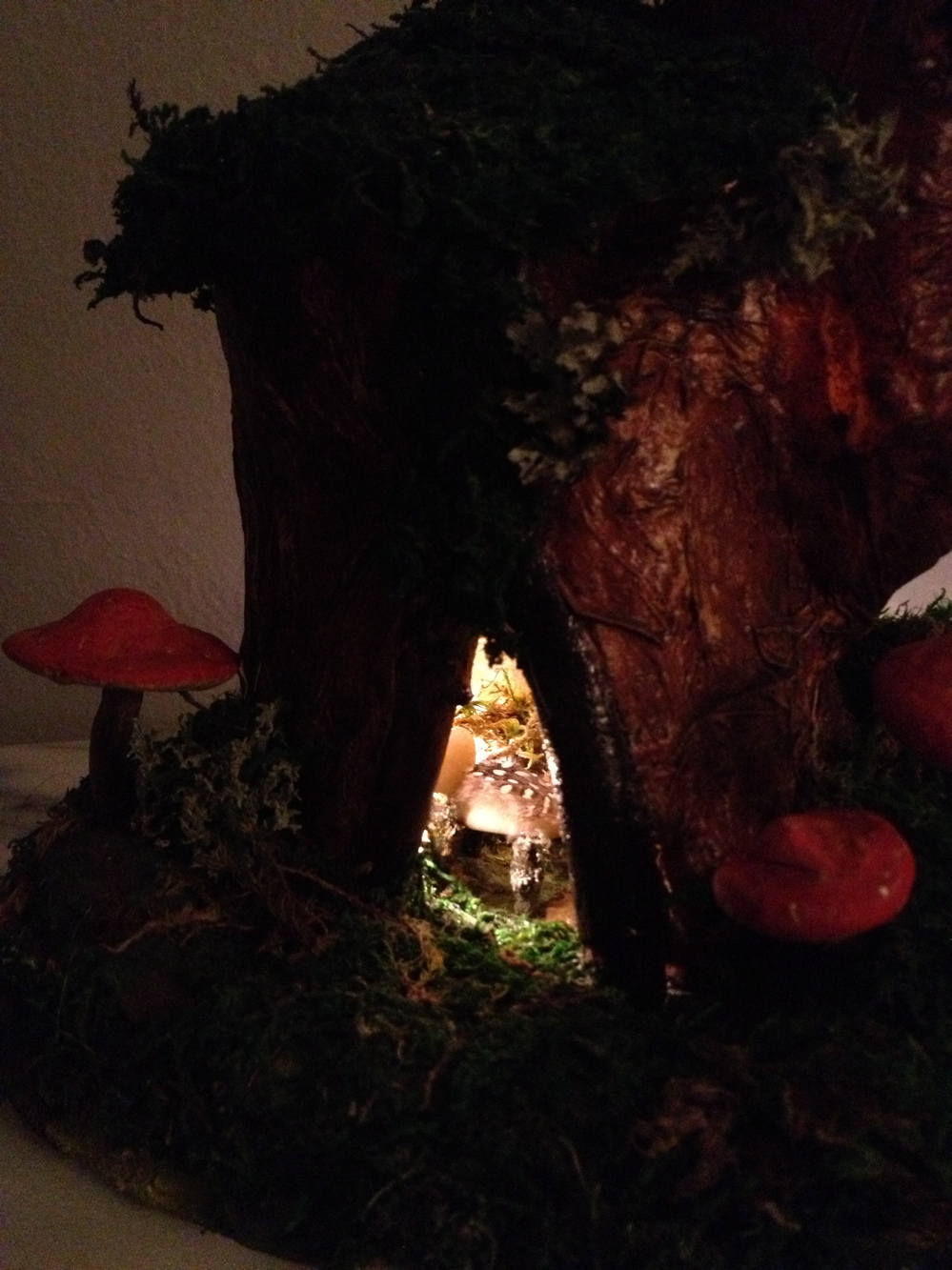 A peek in the front door