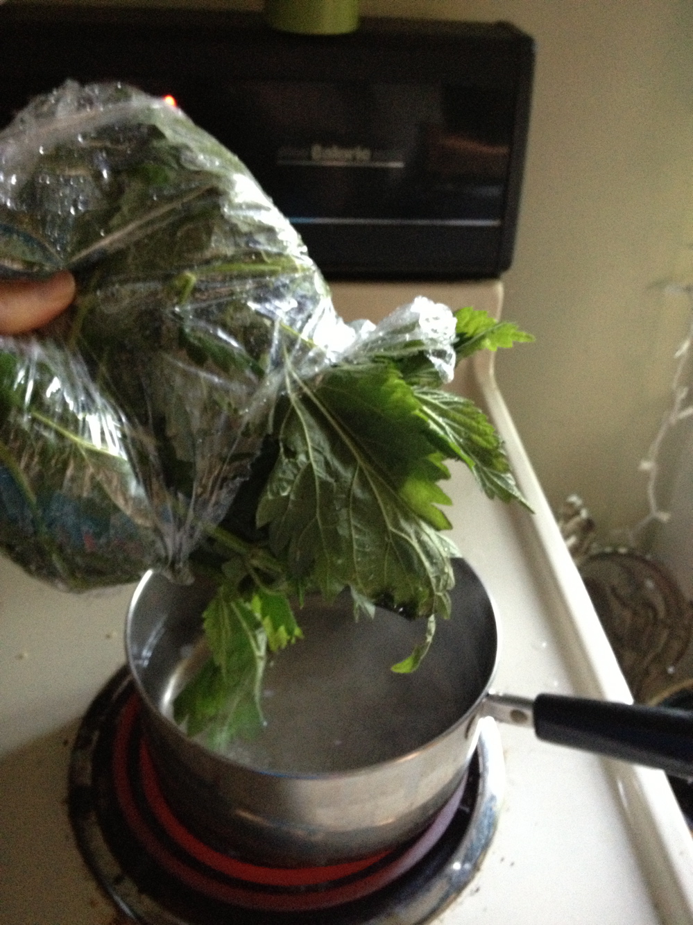 preparing nettles.jpg