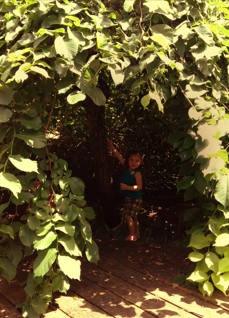 My adorable niece, exploring the hidden wilds underneath the canopy.
