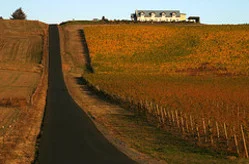 View from the street (you enter through a winding country road with a very irish feel).