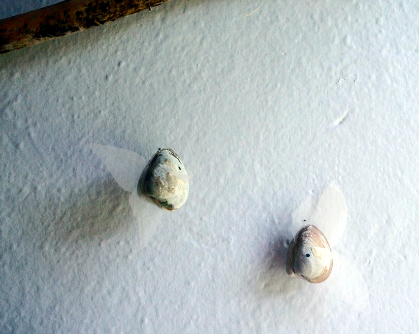 Fish Friends that are way less annoying than Flounder. My apologies in advance to Flounder defenders.
