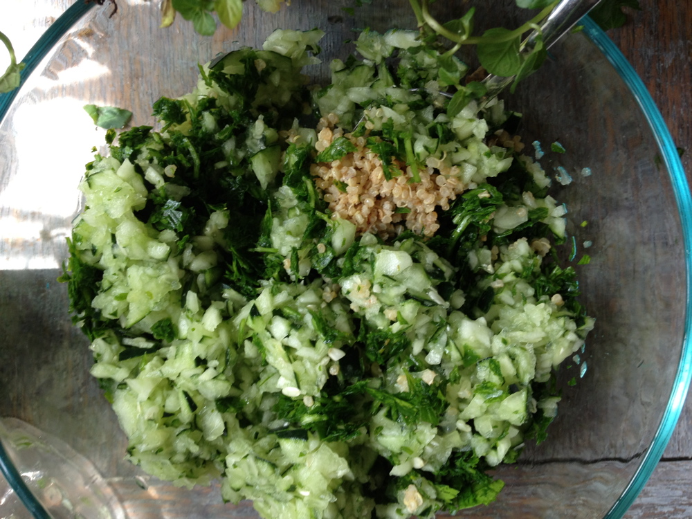 Chop up the cucumber (I used the processor again) and add.