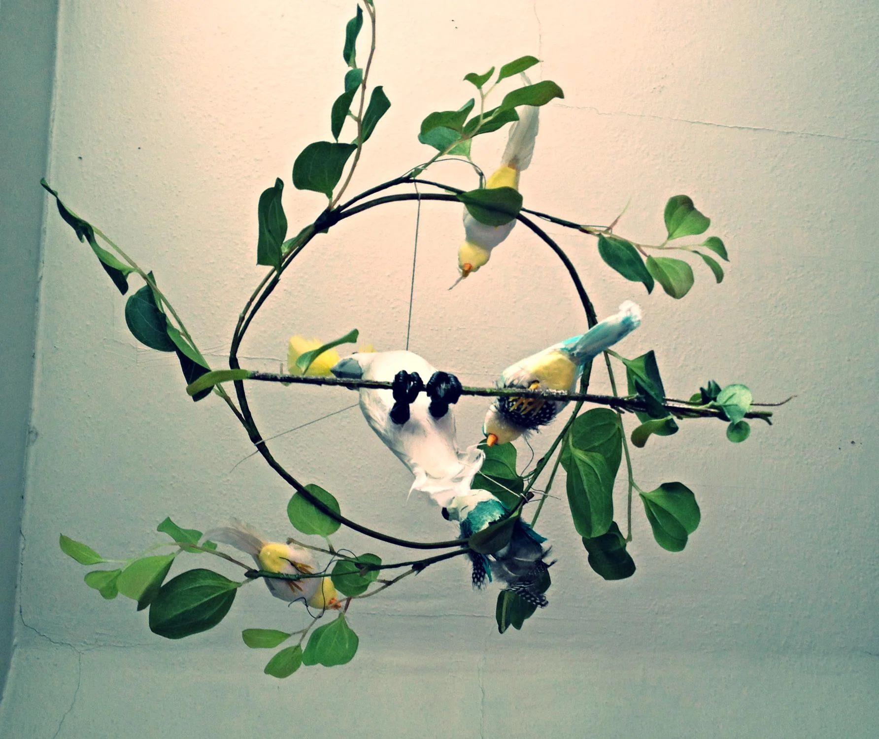 What the baby sees, but with more twirling (I hung the vines and 2 birds on a branch separately, so they can move at slightly different paces.)