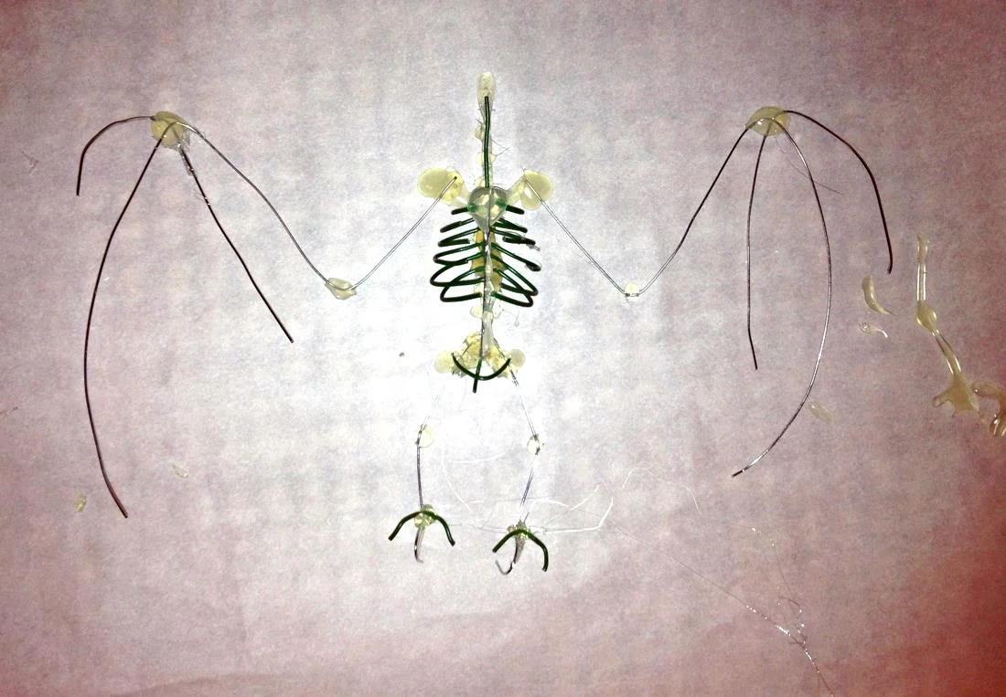 diy_bat_skeleton_wire.jpg