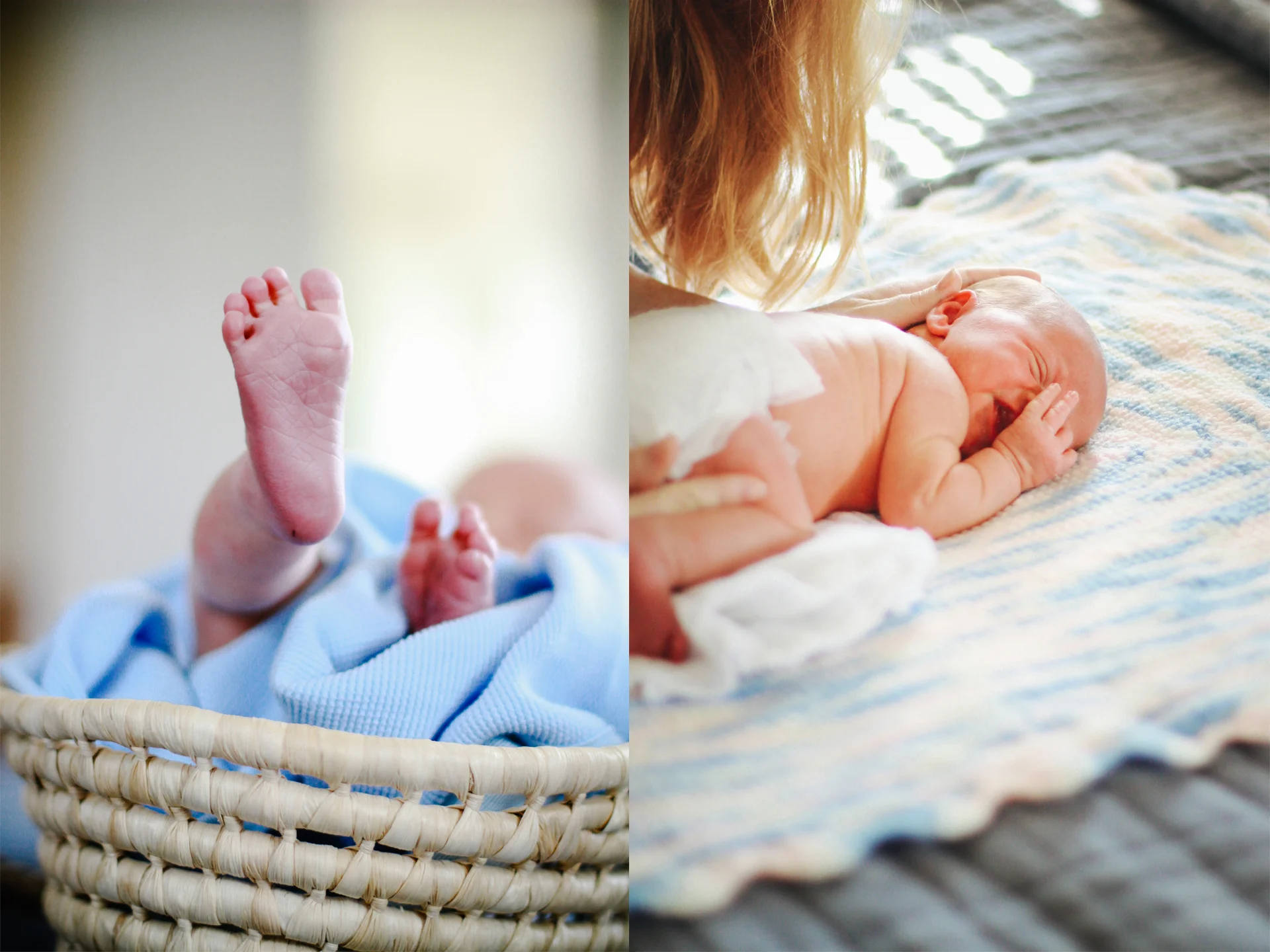newborn portraits.jpg