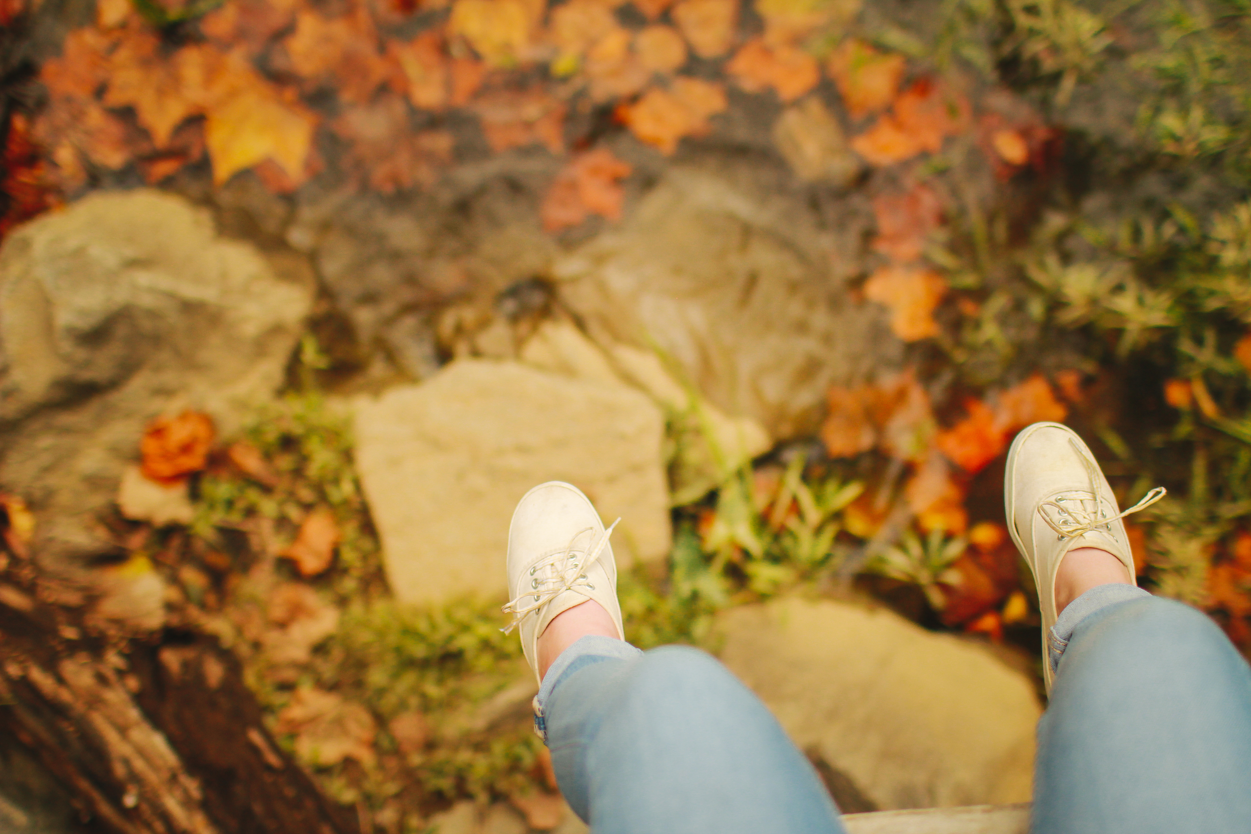 20141004-IMG_3901.jpg