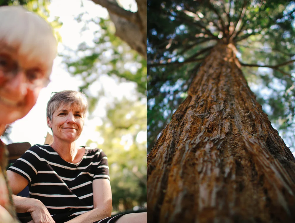 california in the summer .jpg