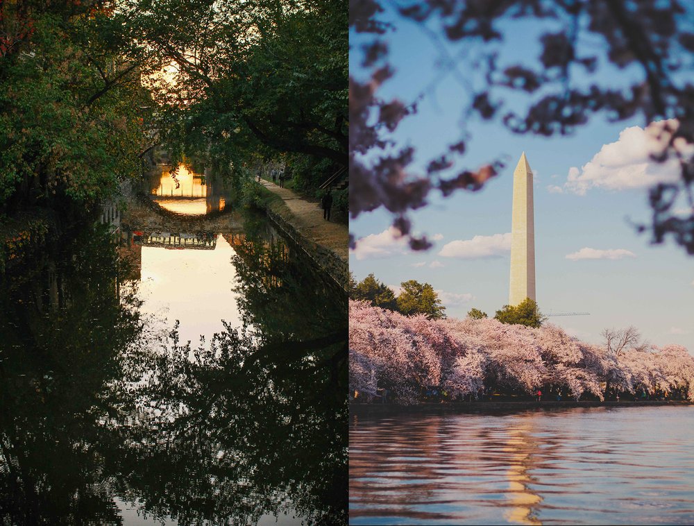 georgetown and the national mall .jpg
