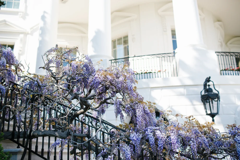 Lydia Francis print-8596.jpg