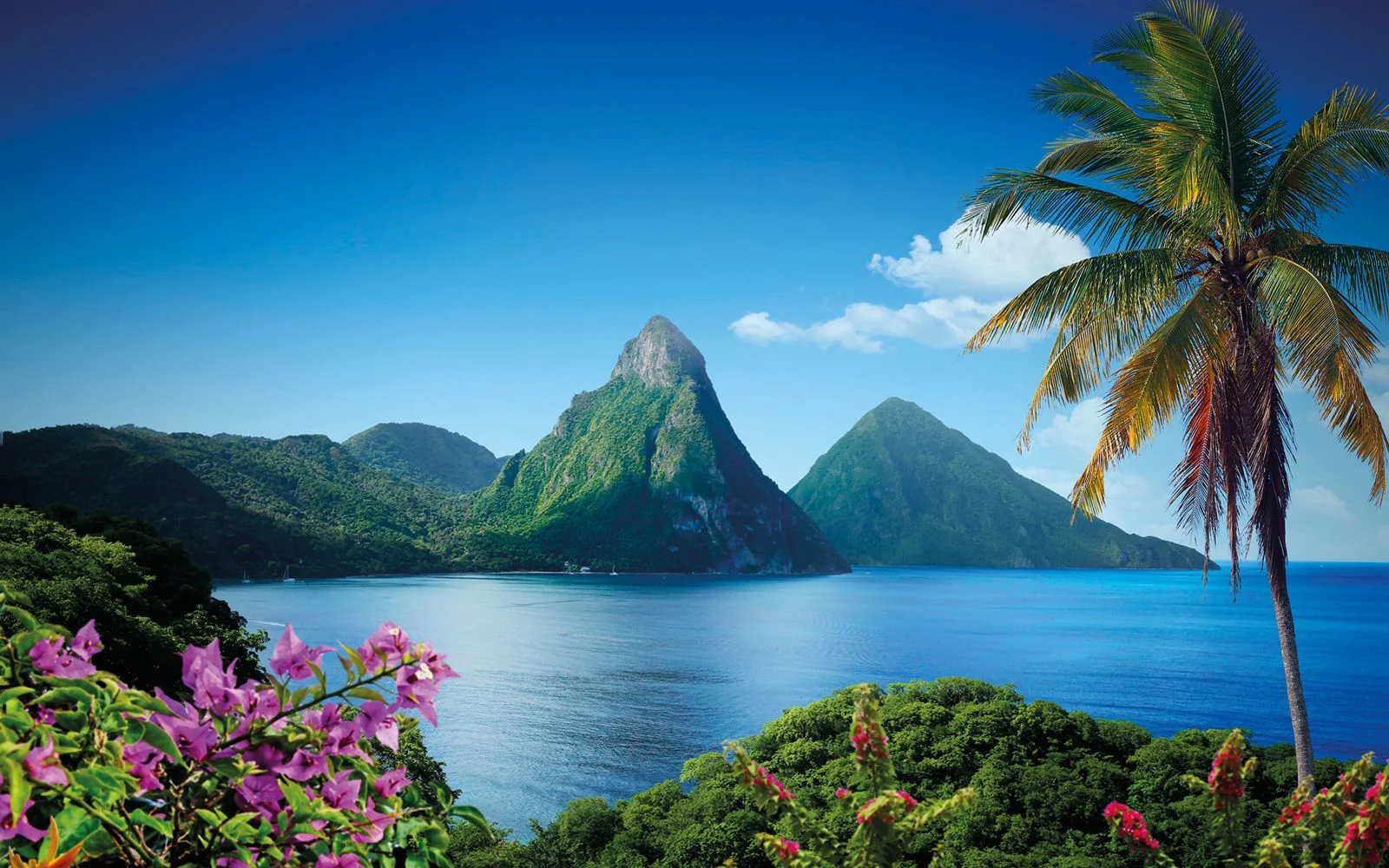 Student Spotlight: My Trip to Saint Lucia