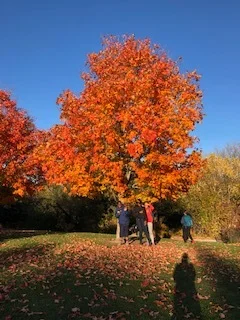 Outdoor Experiences with Elevate Youth