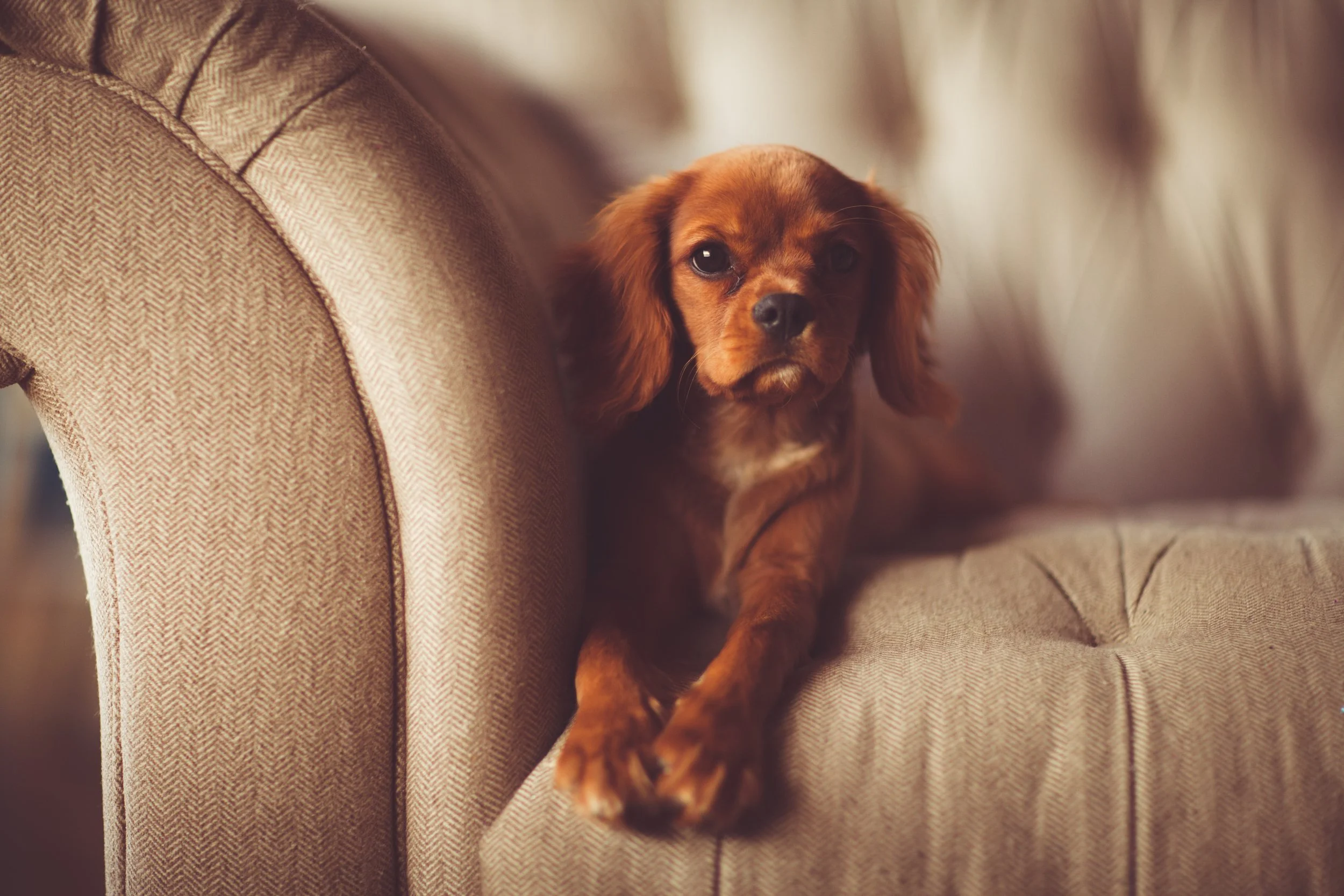 Photo by Andrew Branch on Unsplash
