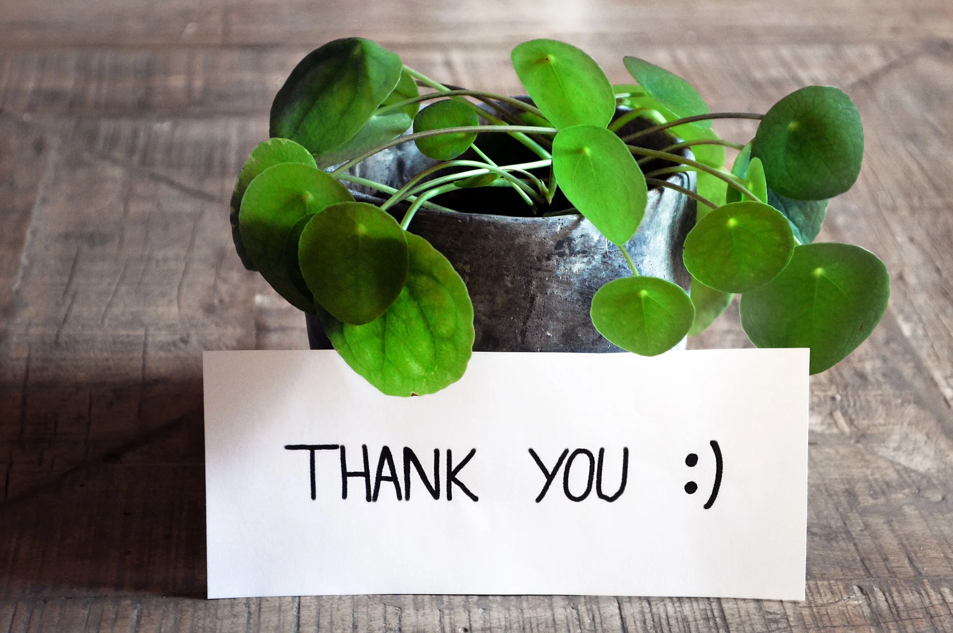 commit-actions-of-gratitude-for-december-business-coach-interior-designers.jpg