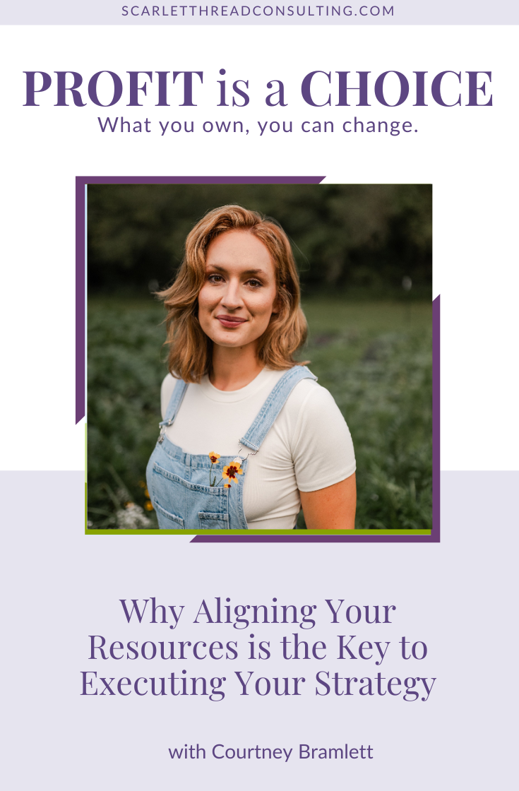 301: Why Aligning Your Resources is the Key to Executing Your Strategy