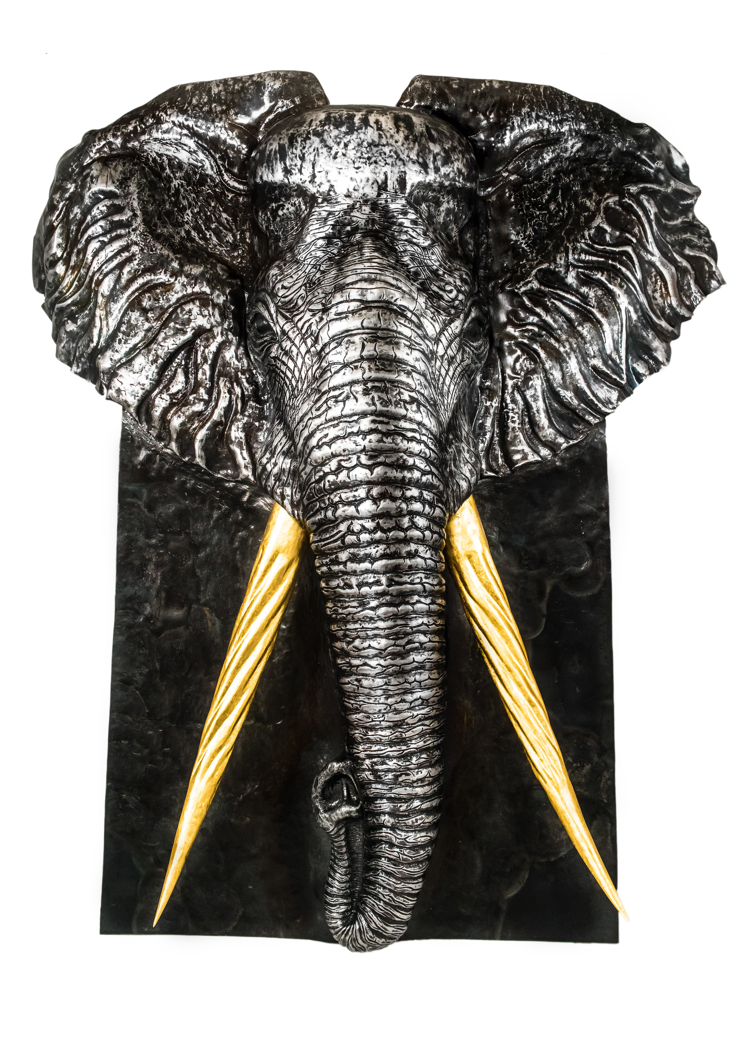 front view Elephant.jpg