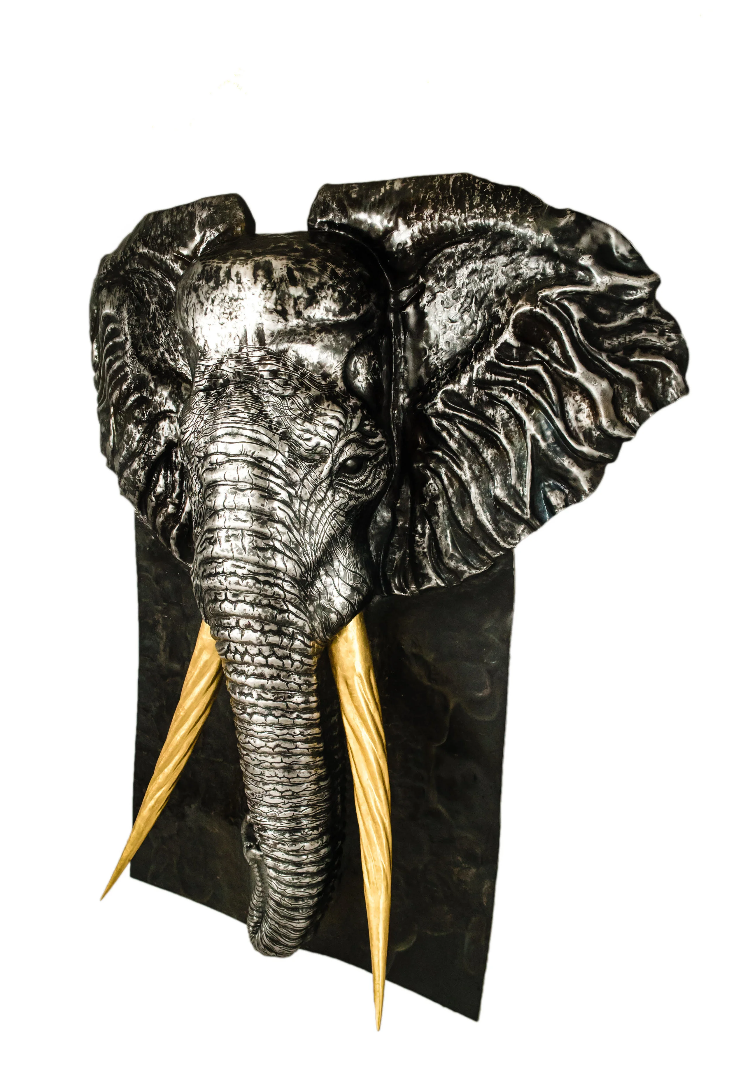 threequarter elephant shot.jpg