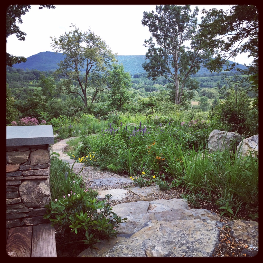 Native Contemplation Garden