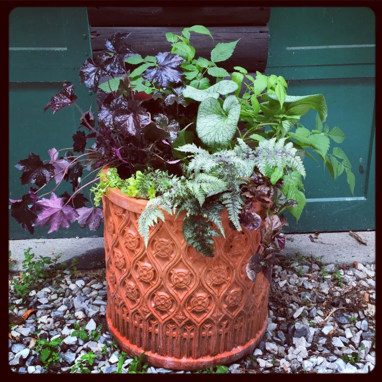 Container Gardens
